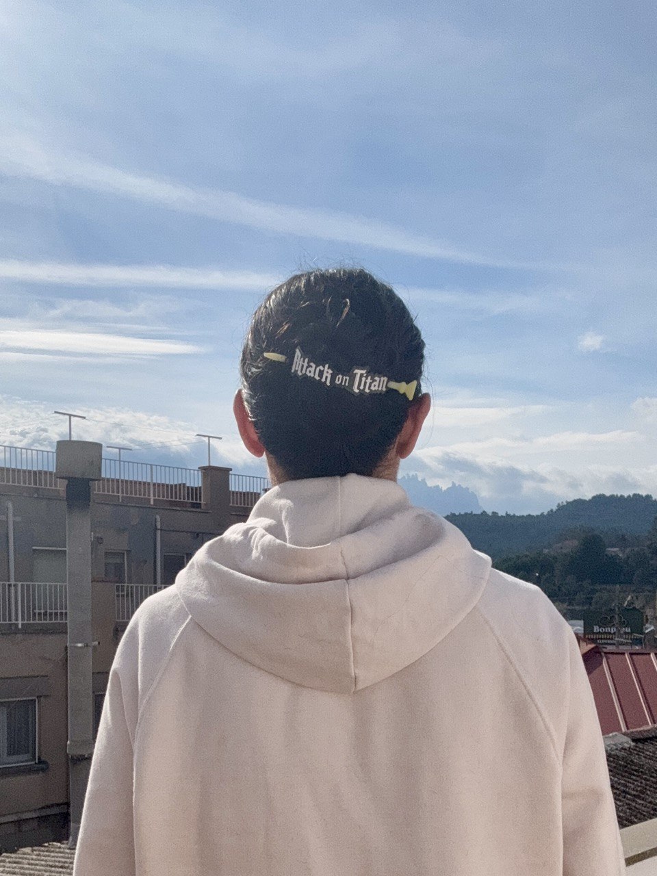 Hair Pin Attack on titan Clip de pelo