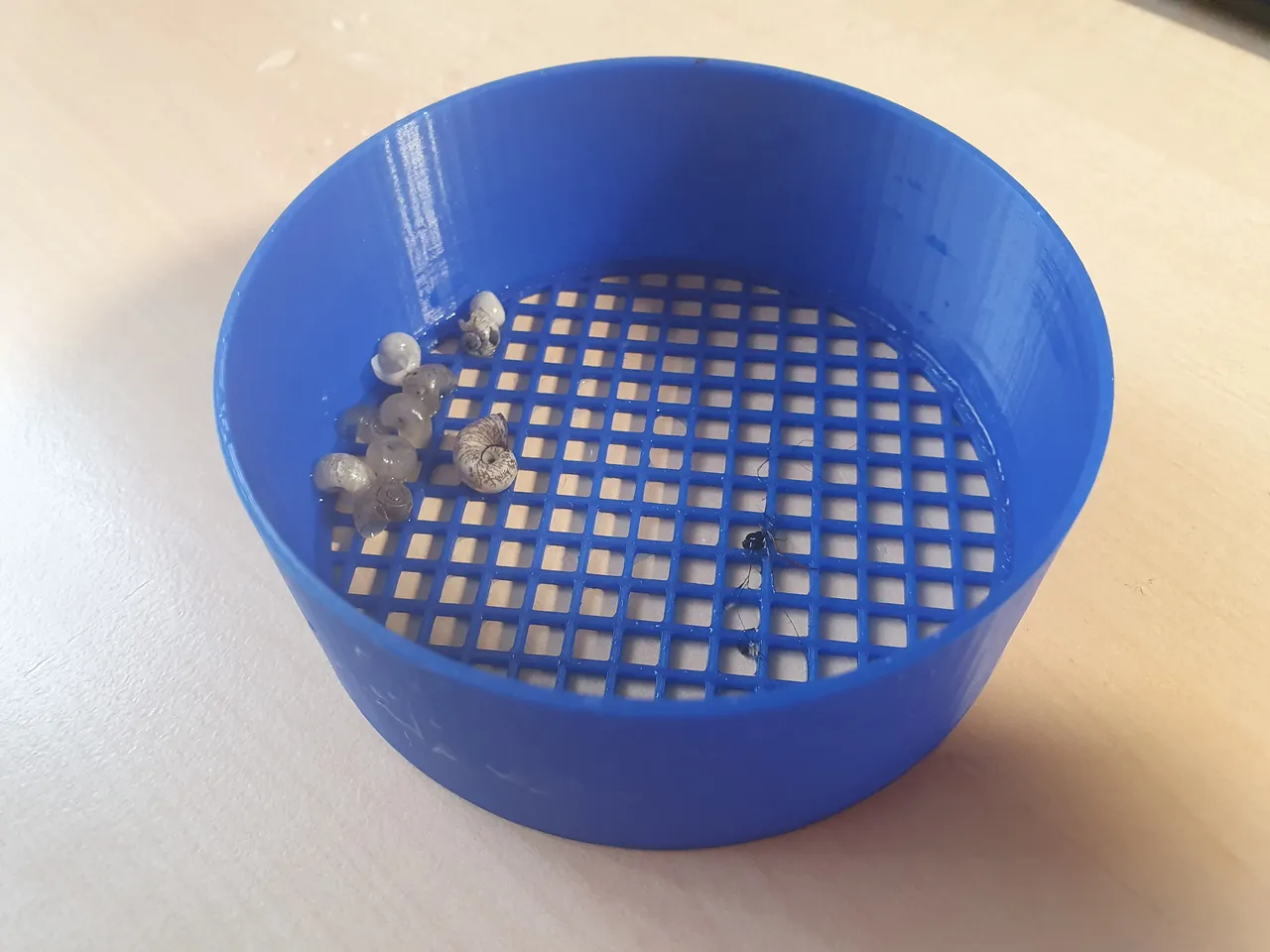 Snail Shell Sieve by Stefan | Download free STL model | Printables.com