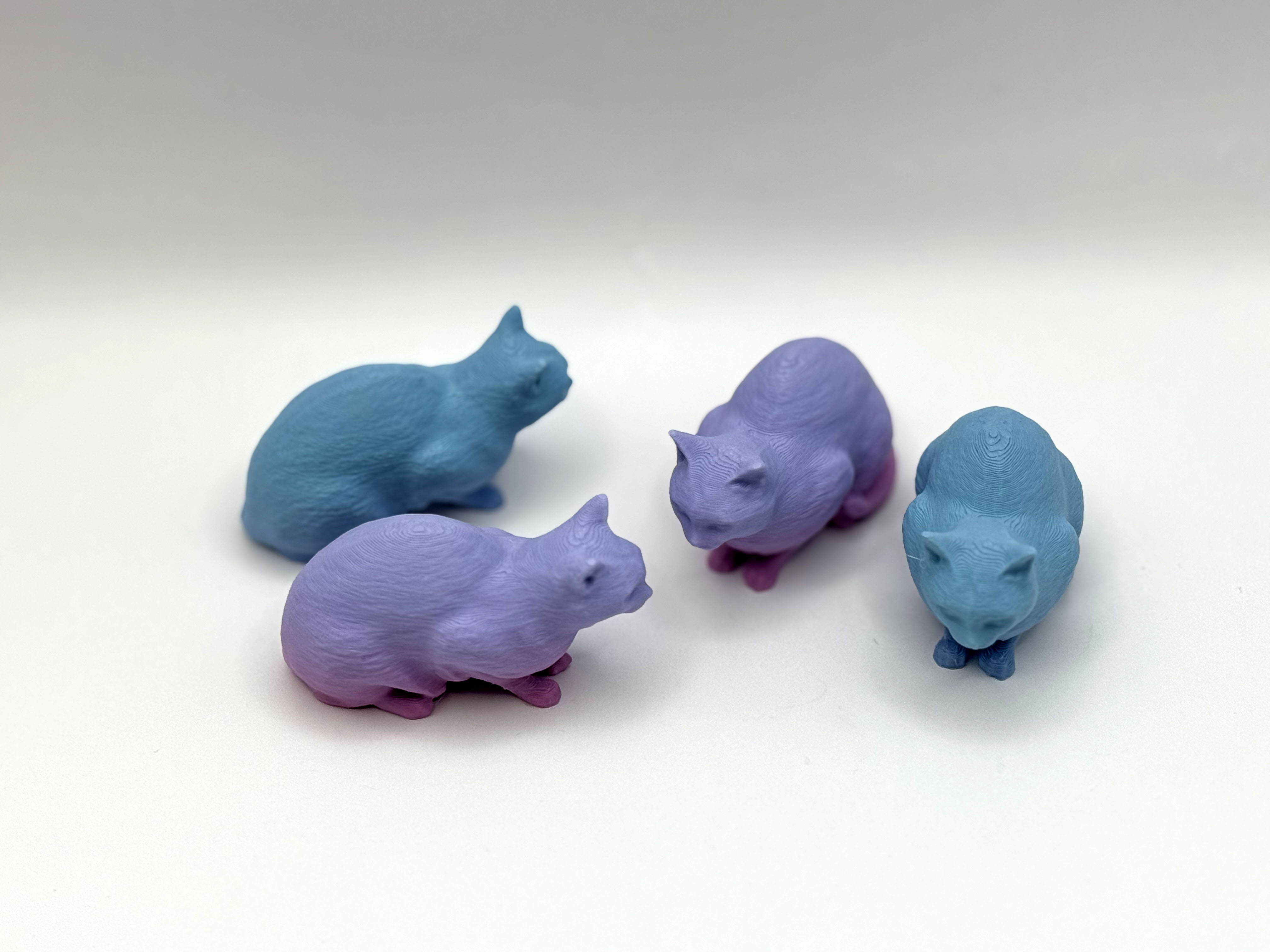 The Kitten — miniatura 2