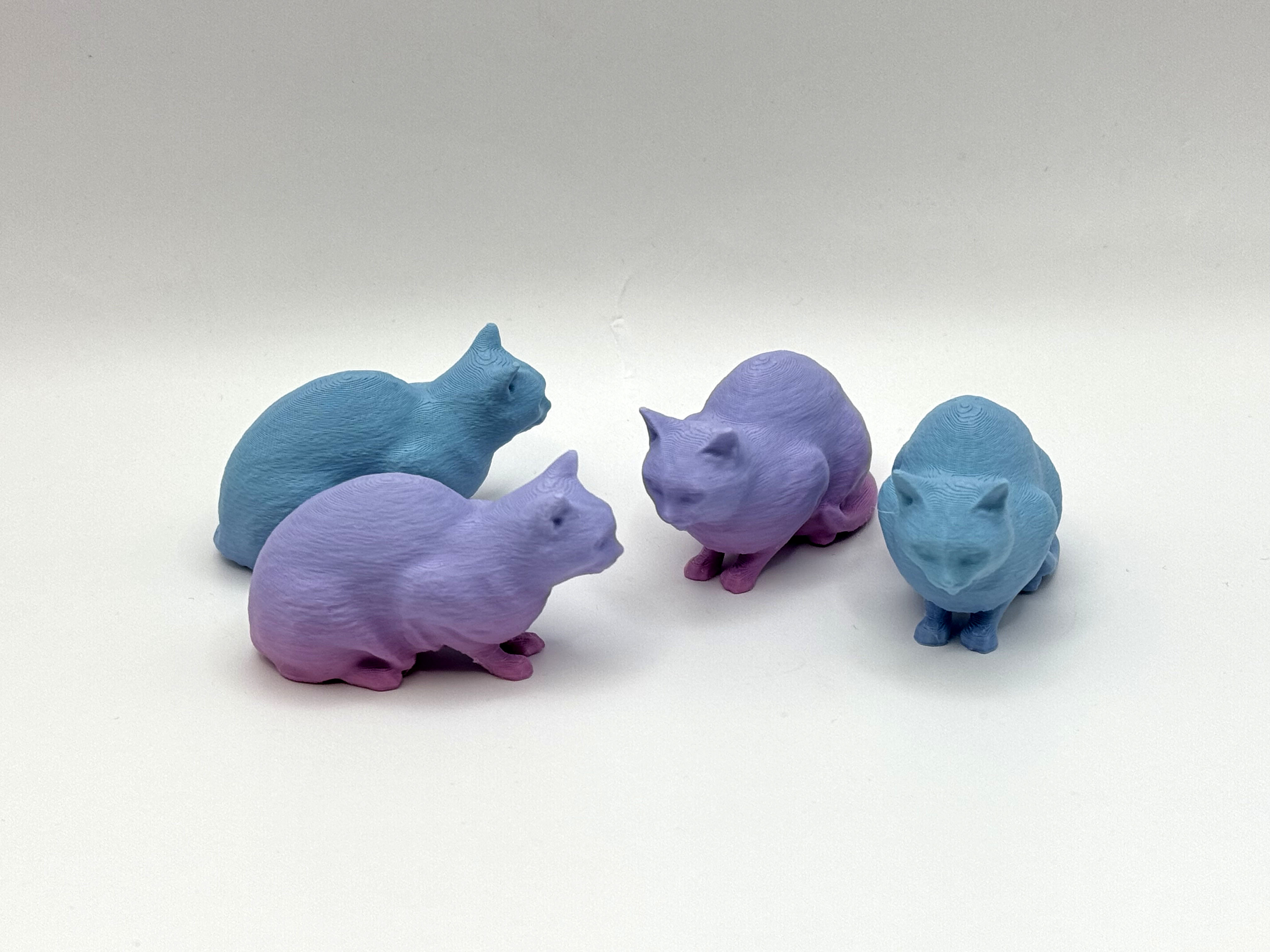 The Kitten — miniatura 4