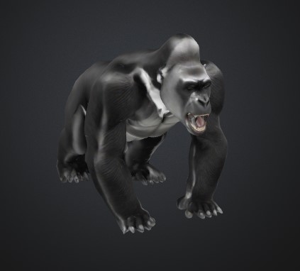 Roaring Gorilla. — thumbnail 7