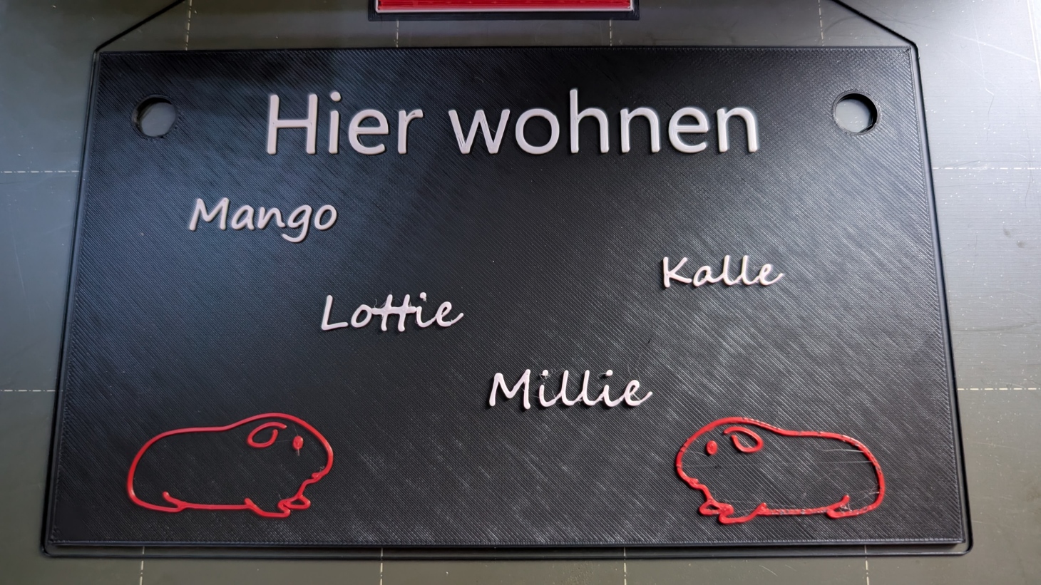 Meerschweinchen "Hier wohnen wir" Namensplatte