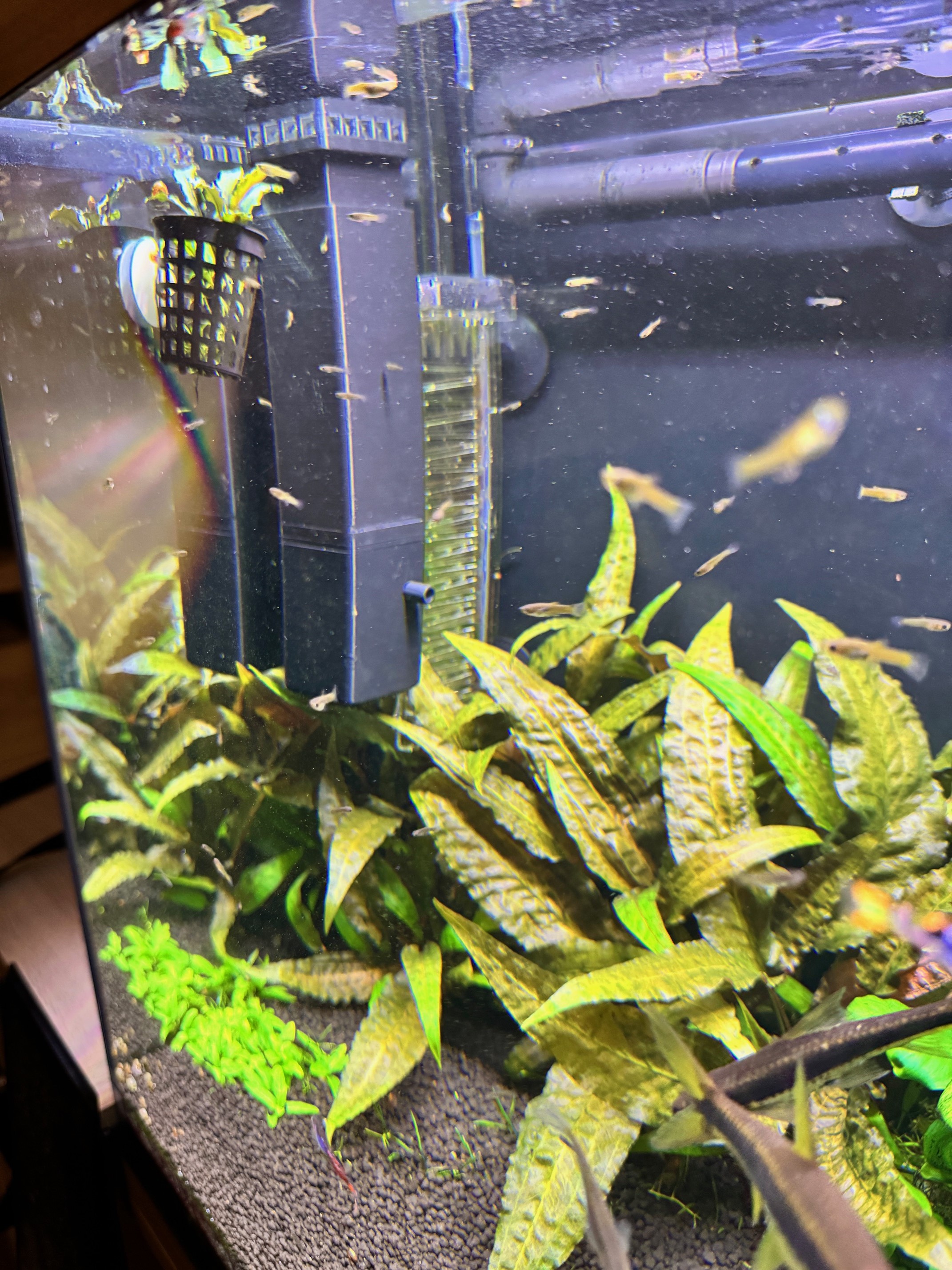 Aquarium skimmer V2