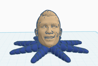 Ronaldopus