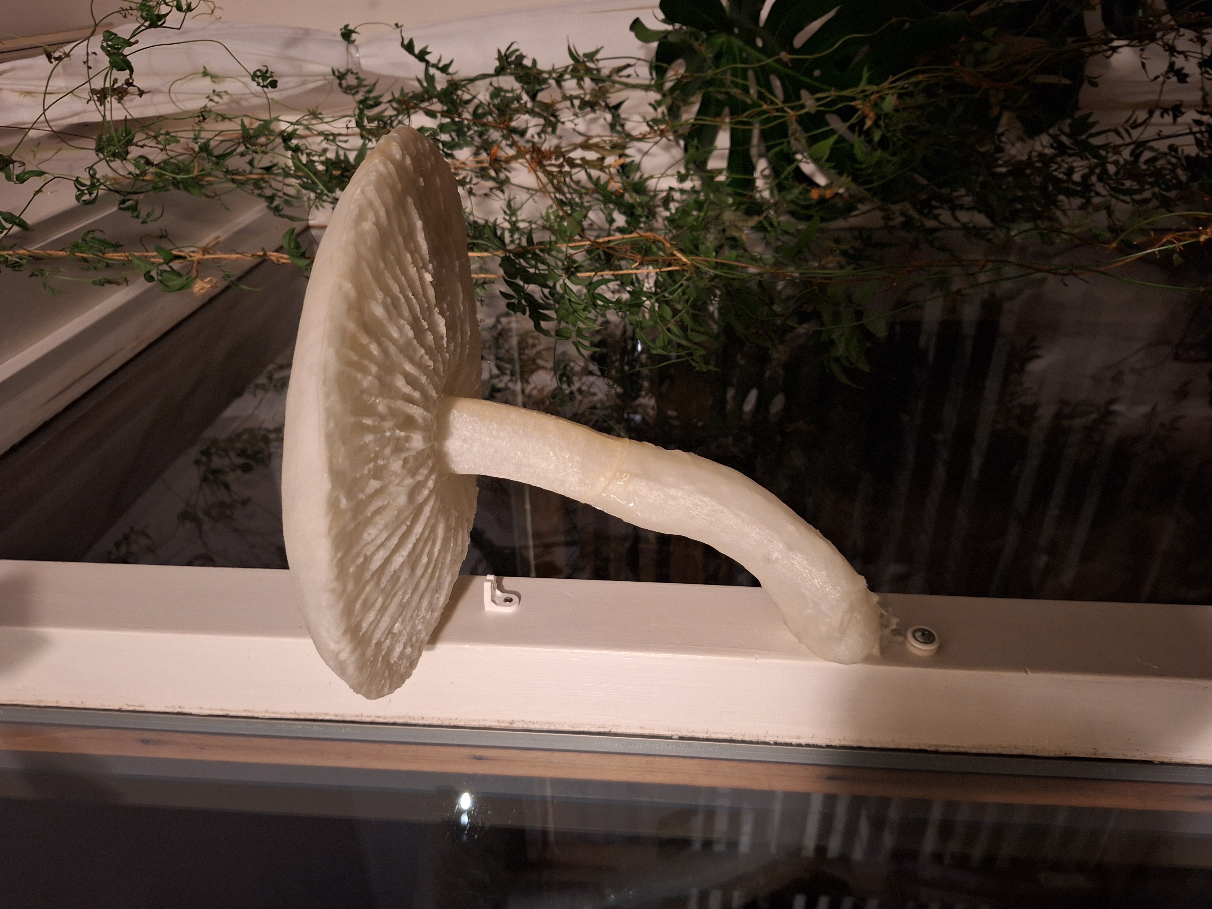 Lifelike Mushroom Shelf