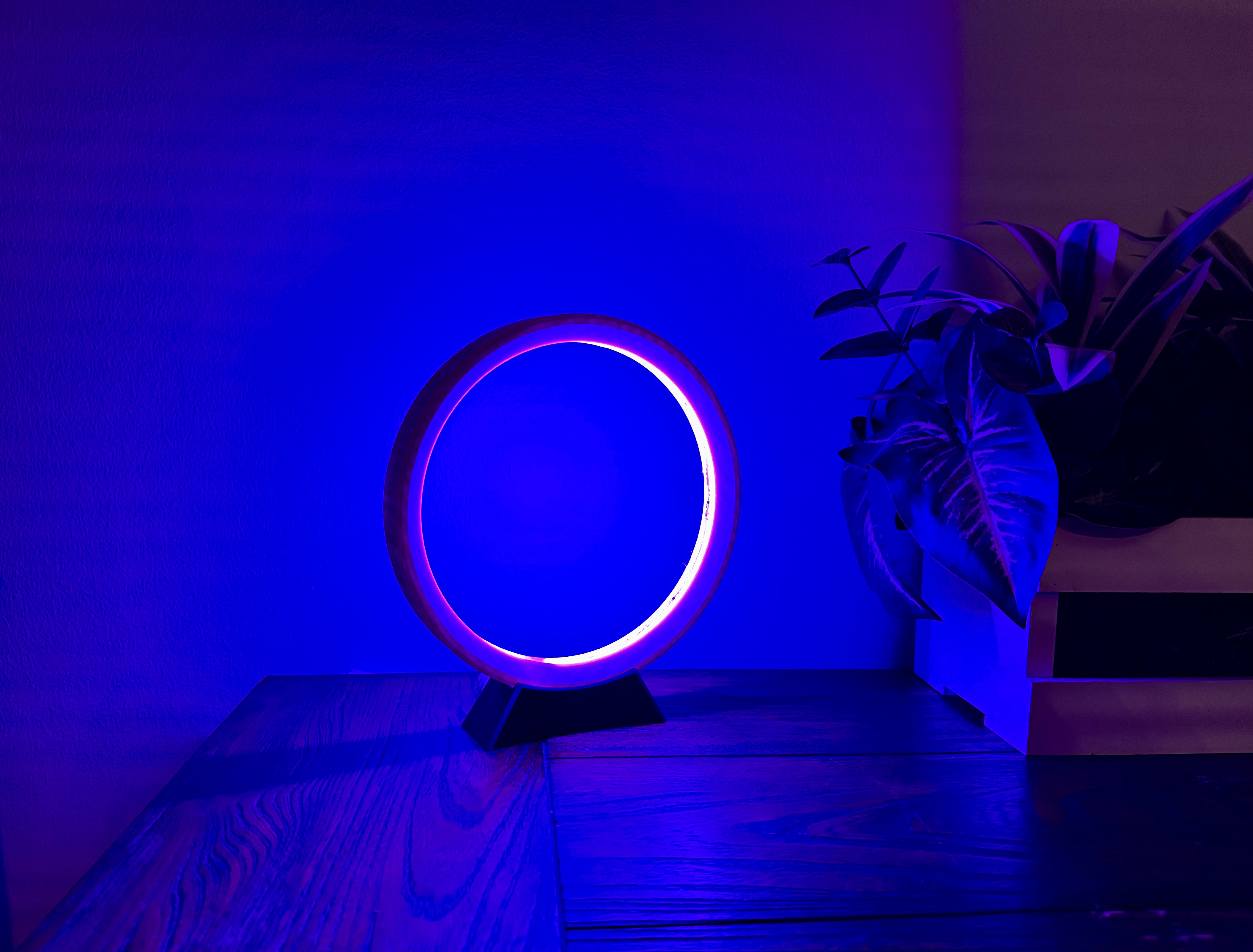 Miniatura 5 do modelo 3D LED Ring Lamp