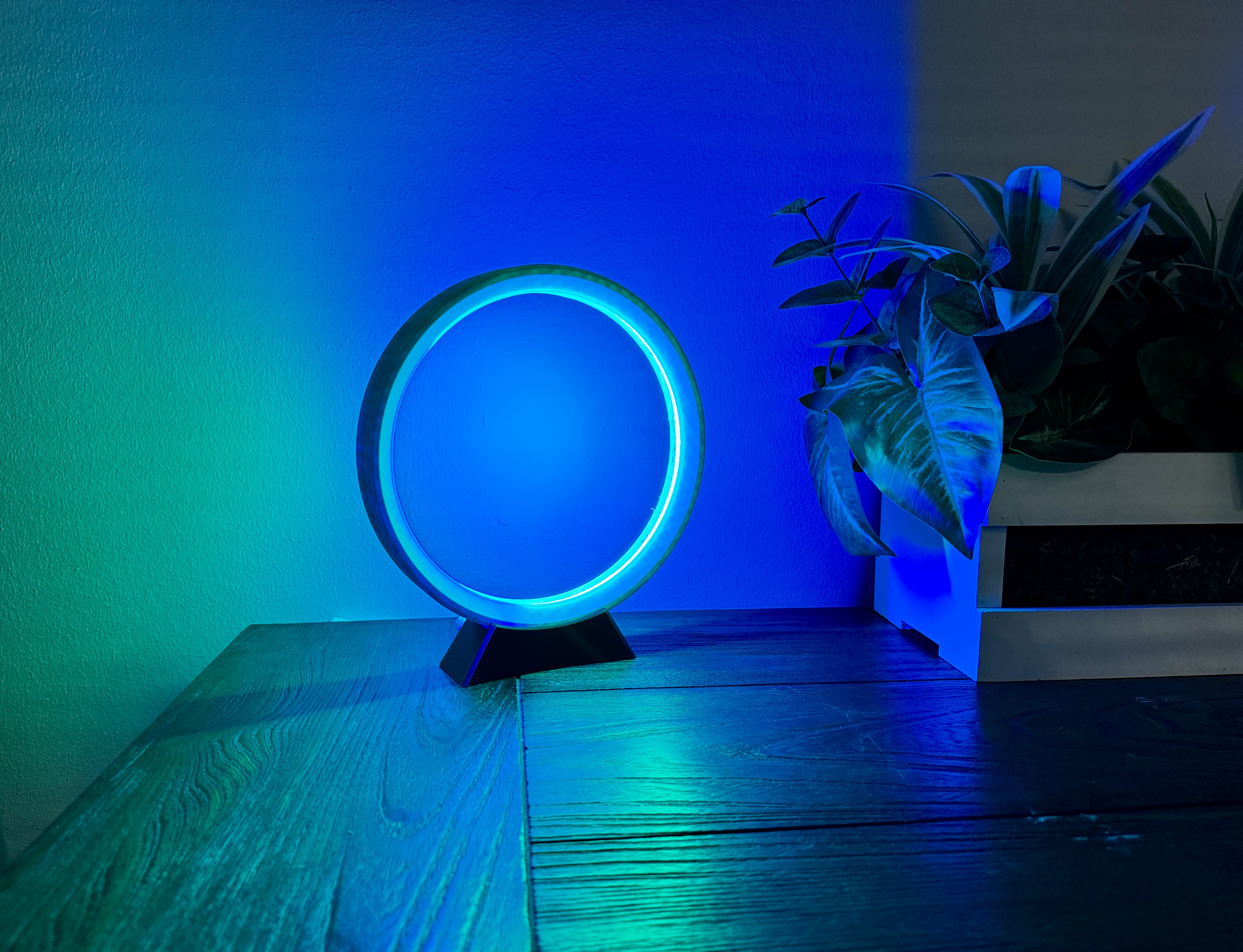 LED Ring Lamp