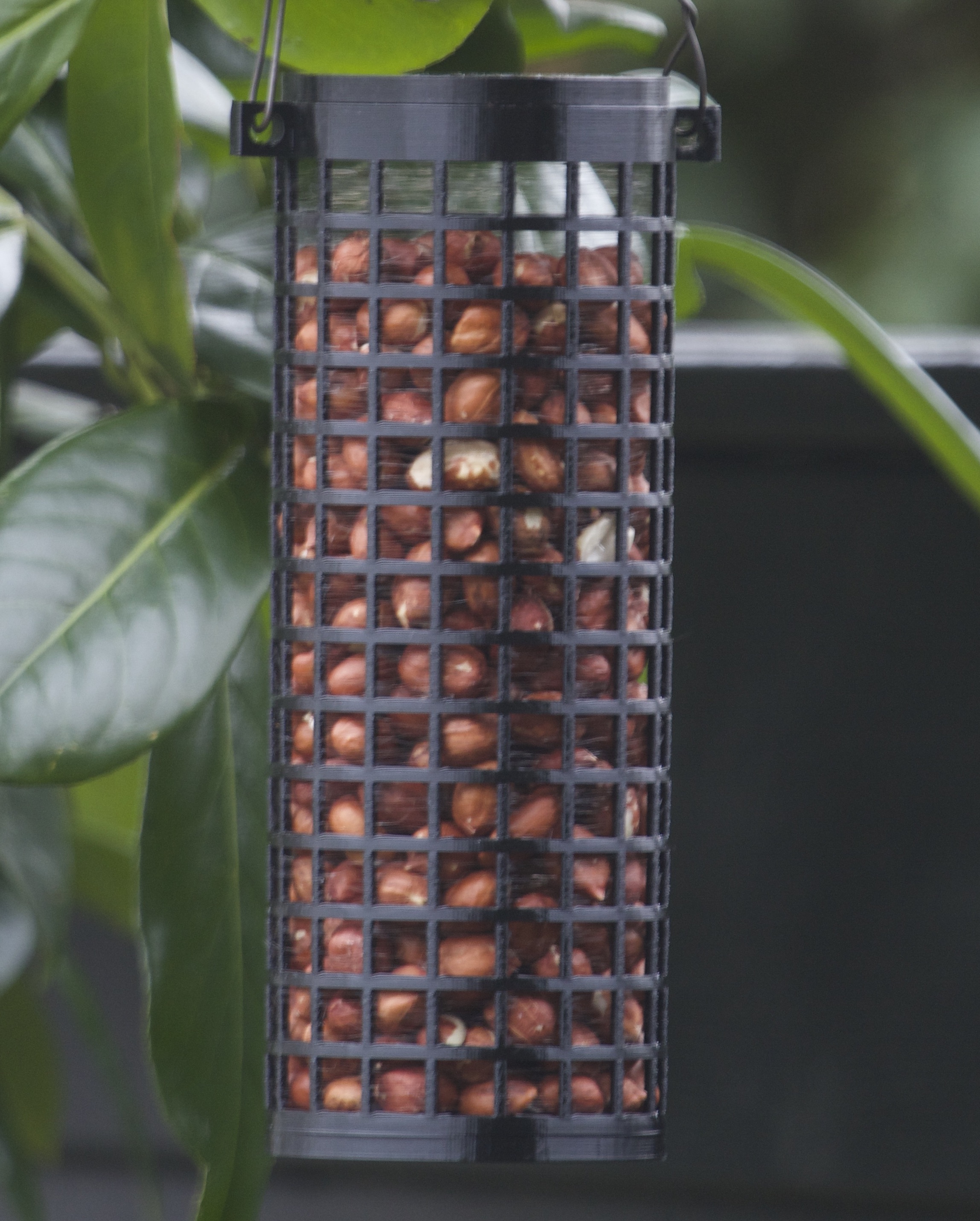 Peanut Bird Feeder
