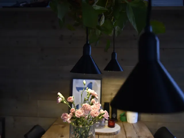 Simple elegant lamp shade E27