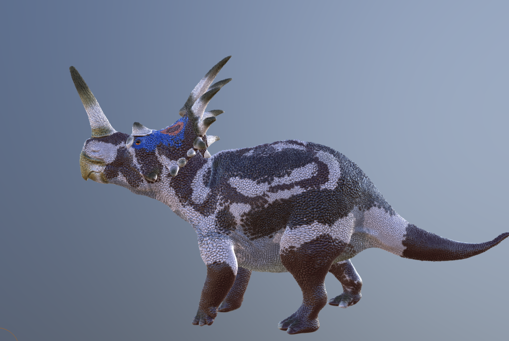 Revised Styracosaurus Albertensis