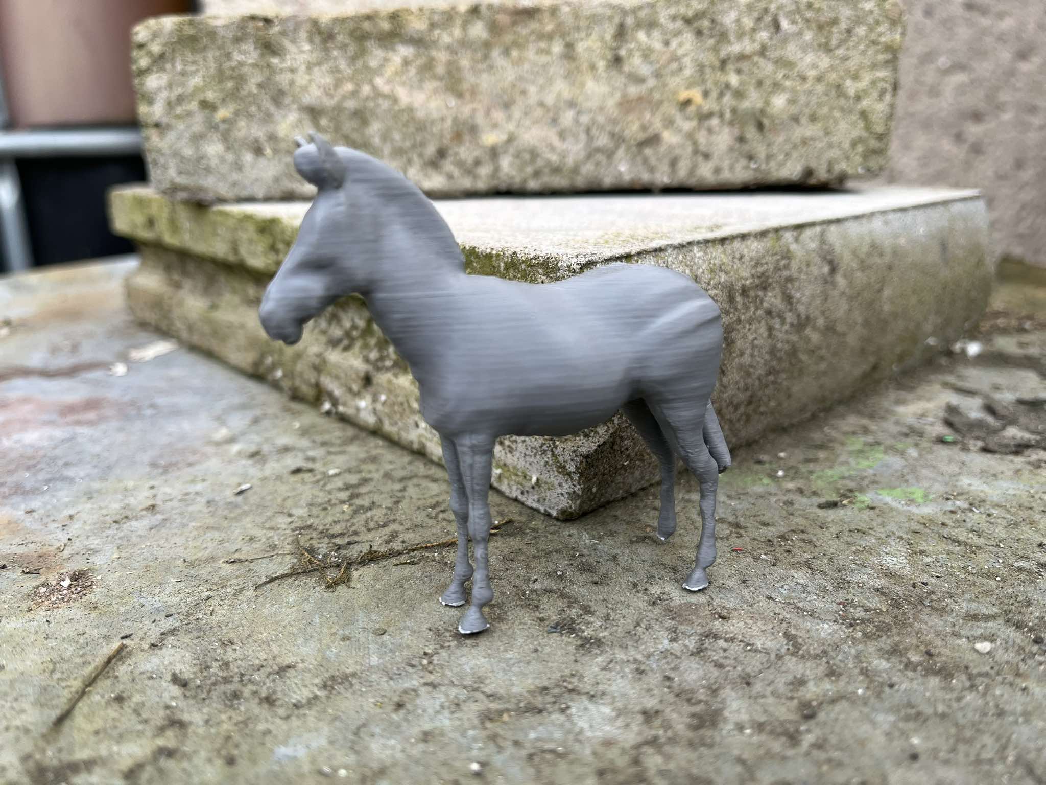 African Zebra — miniatura 2