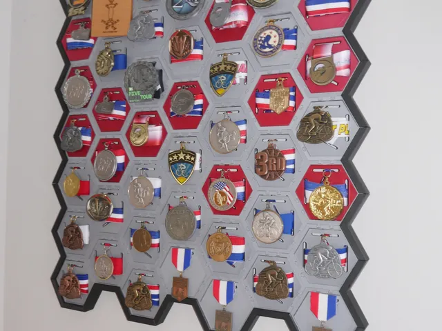 Medals Wall Display V2 (Updated with Frames)