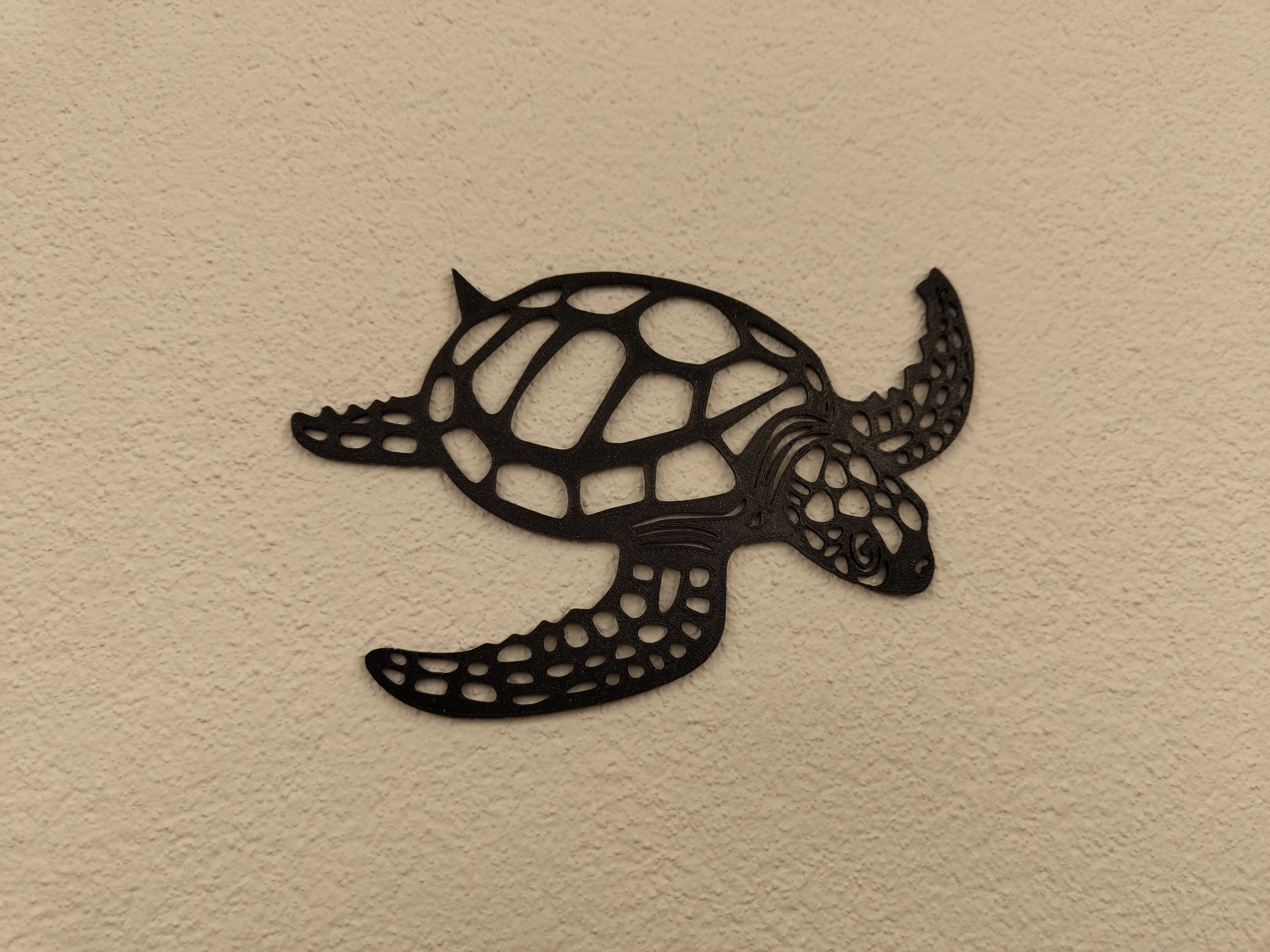 Tortoise