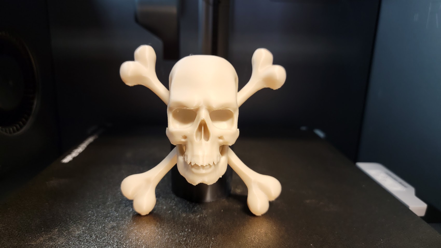 Skull and Crossbones (Jolly Roger)