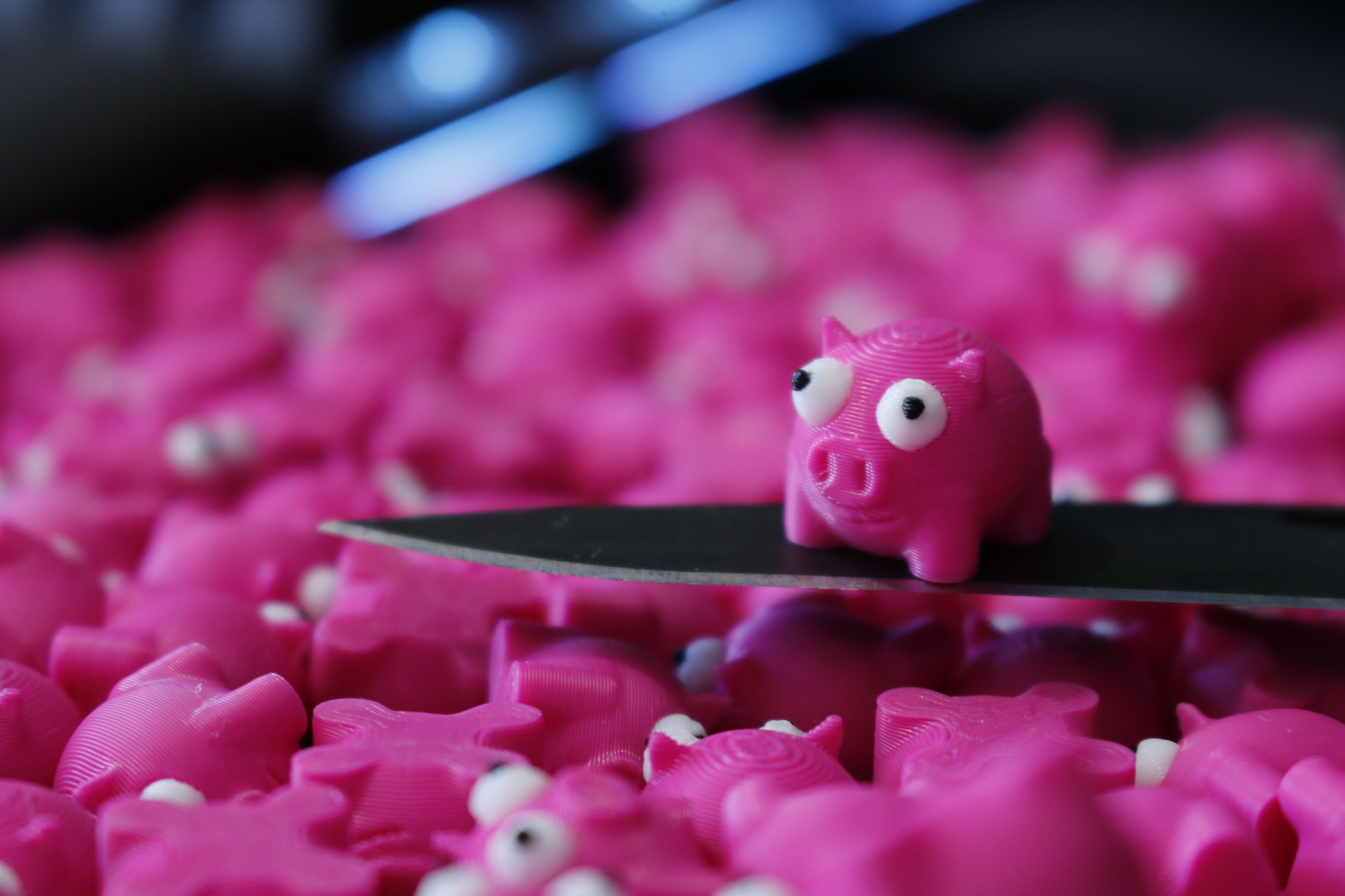MINI PIGGY