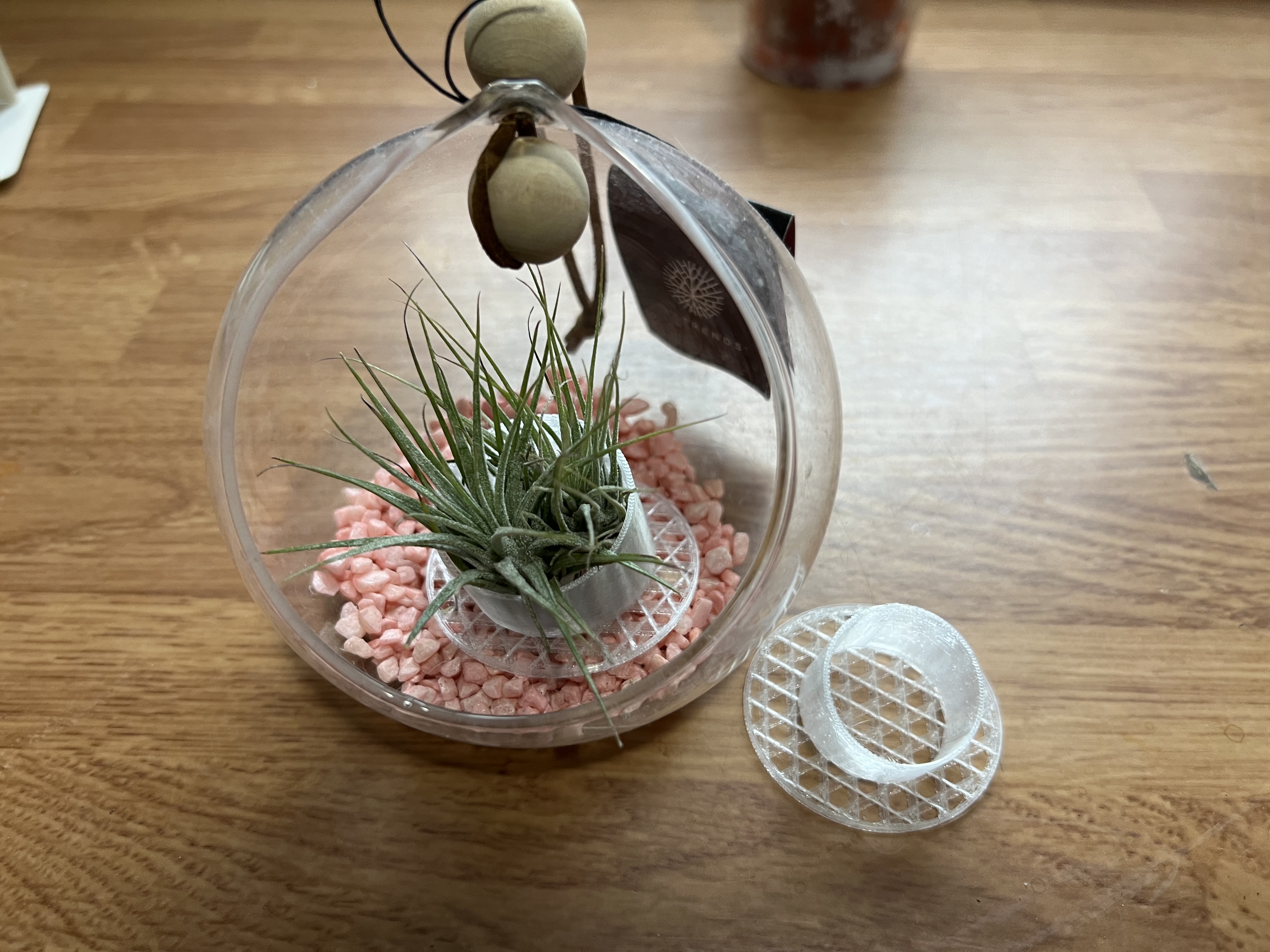 An Air-Plant Base / Stand