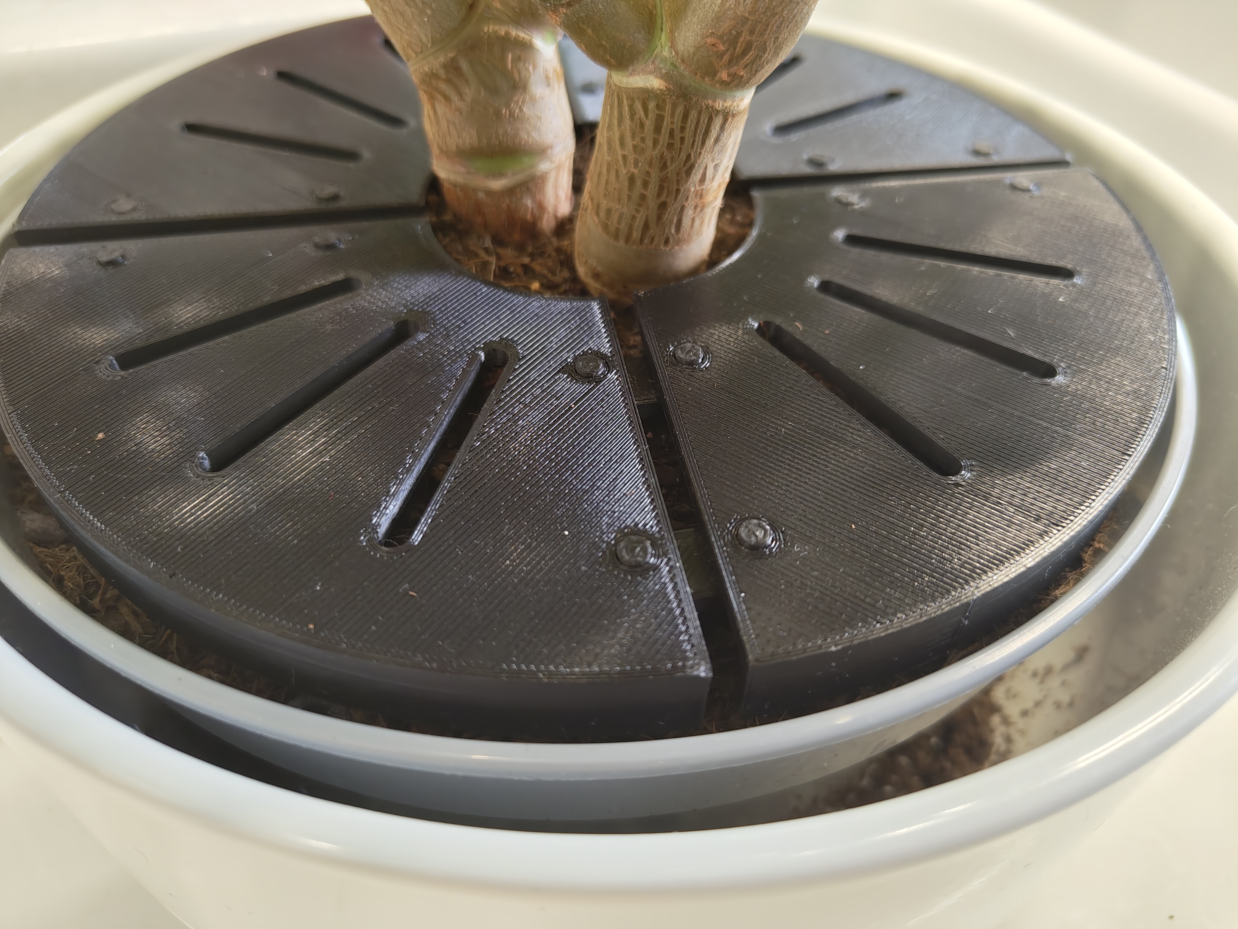 Anticat plant protector — miniatura 4