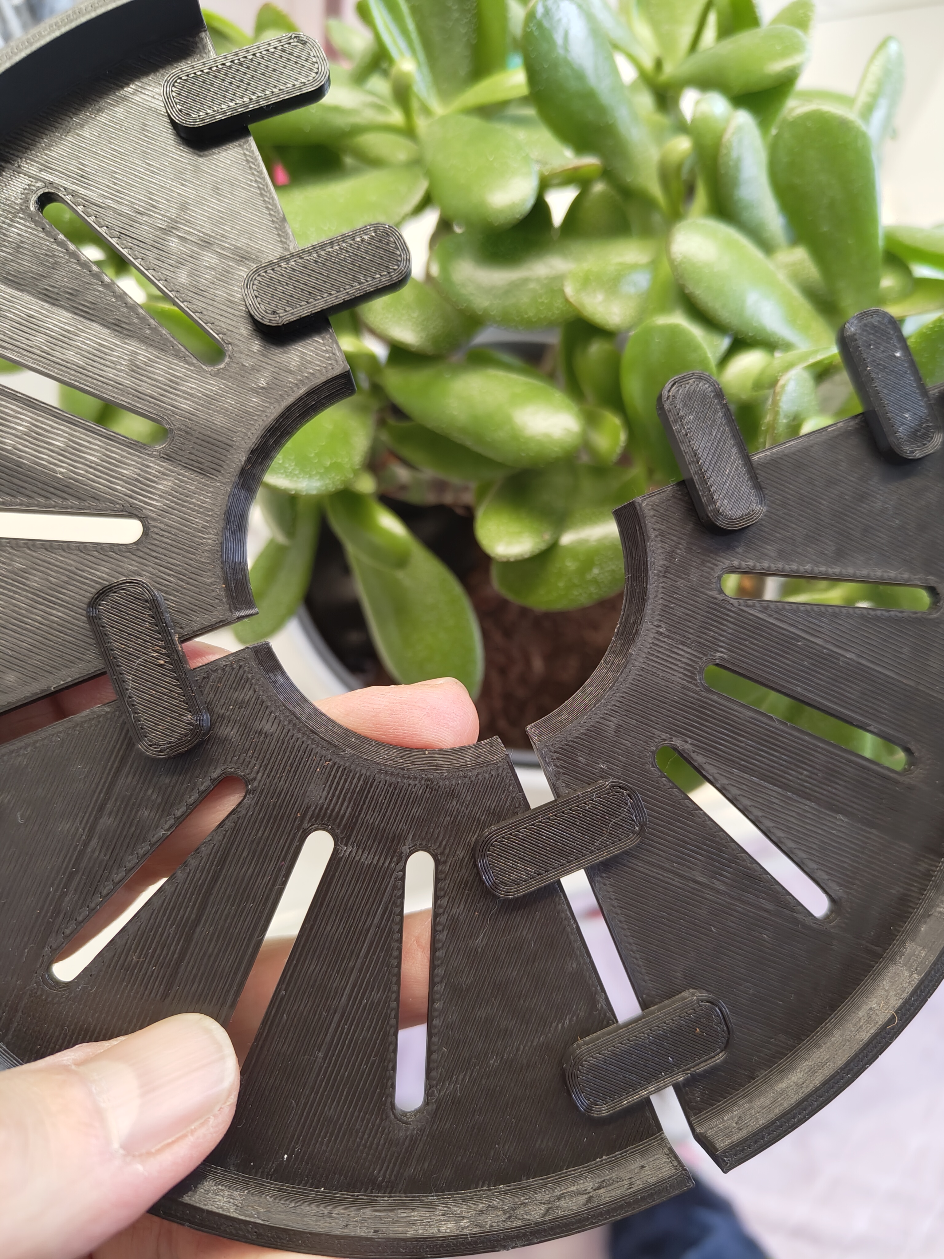 Anticat plant protector — miniatura 3