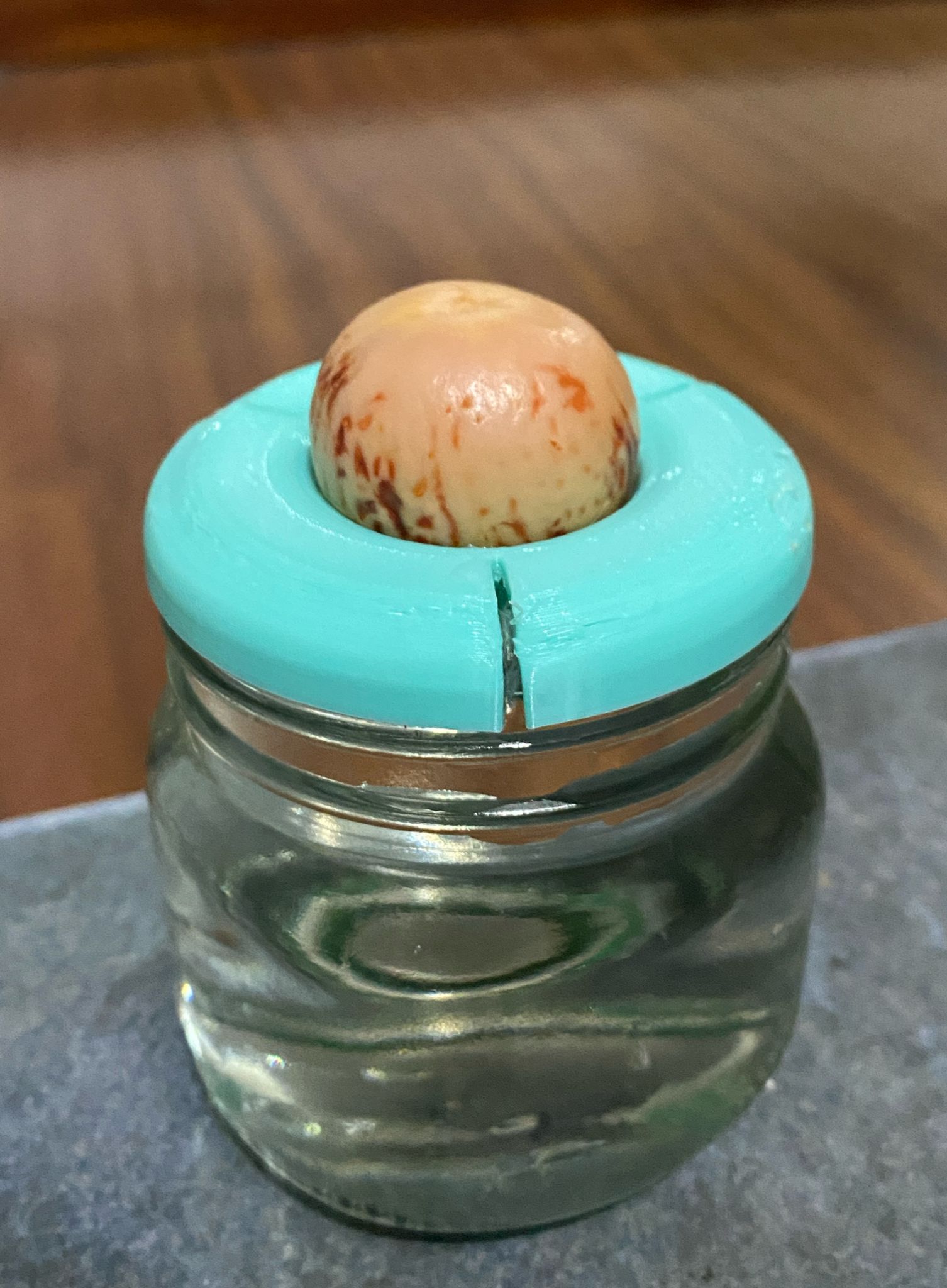 Avocado pot