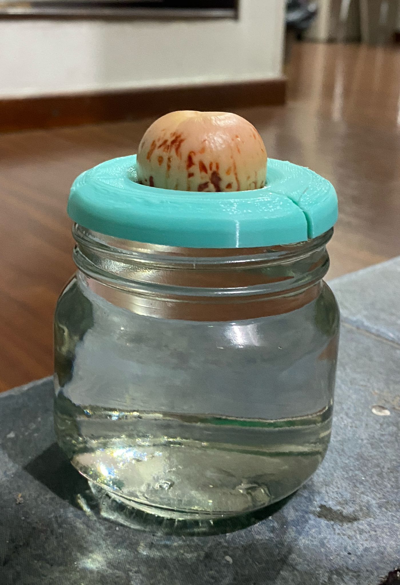 Avocado pot — miniatura 3