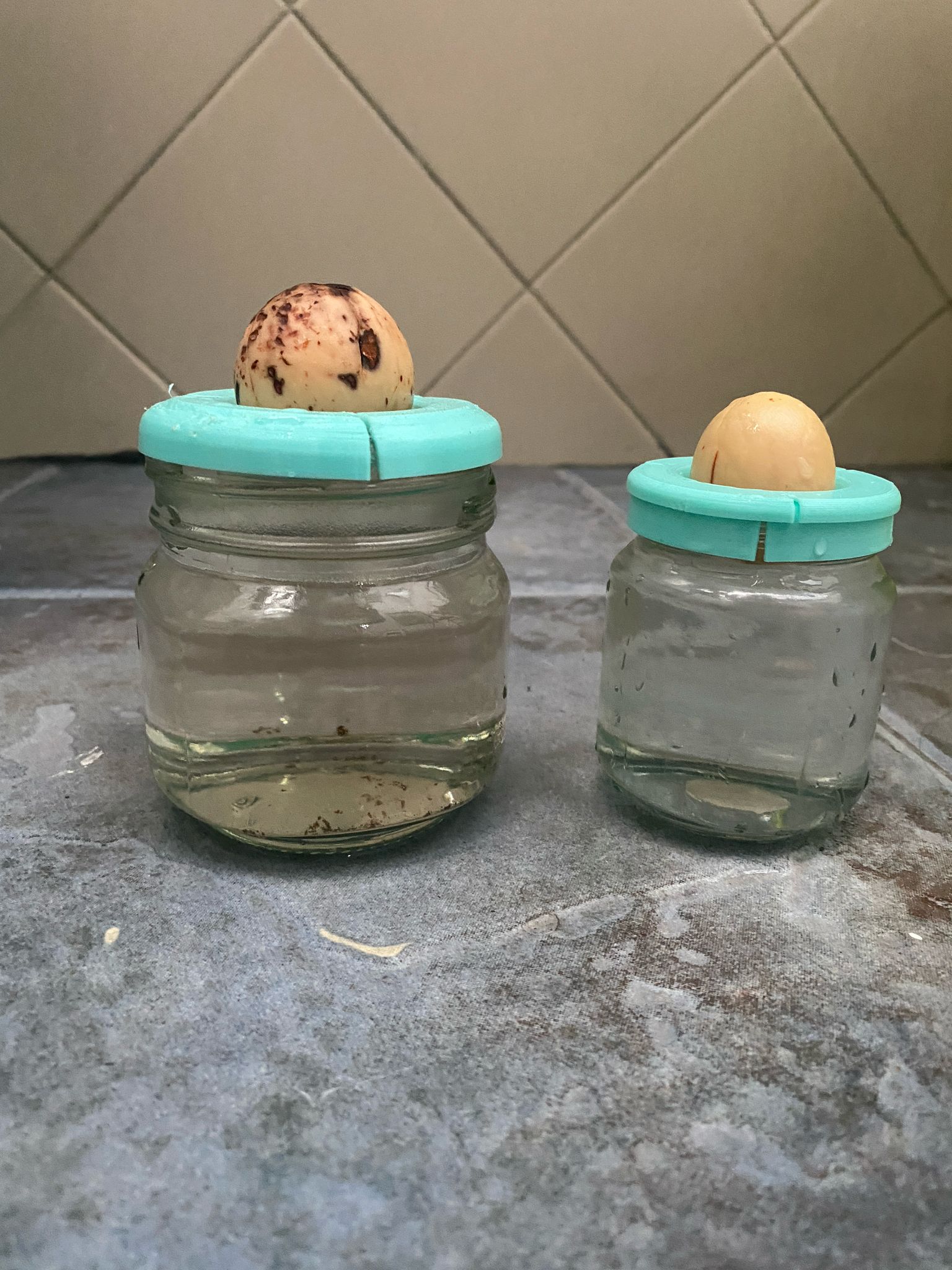 Avocado pot — miniatura 4
