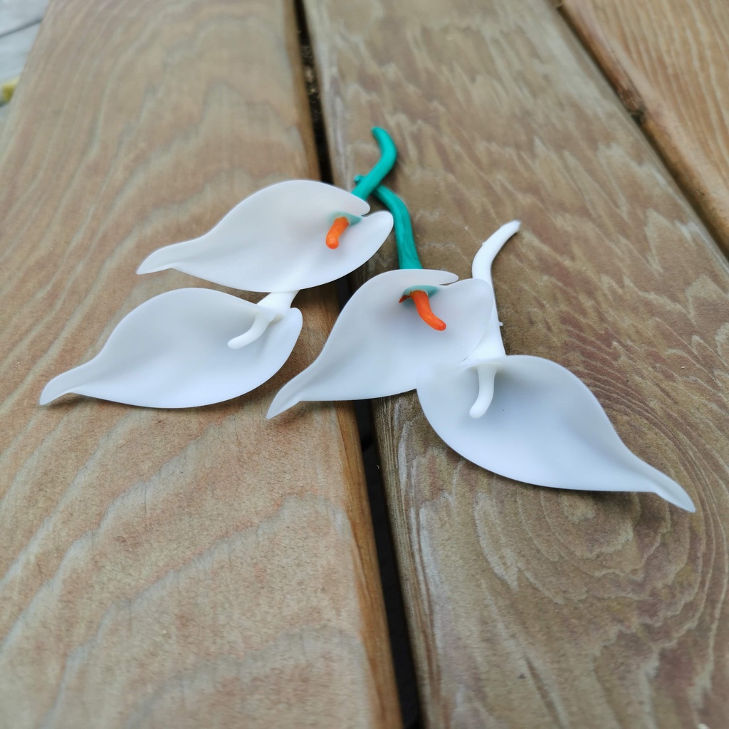 Cala Lily — miniatura 5