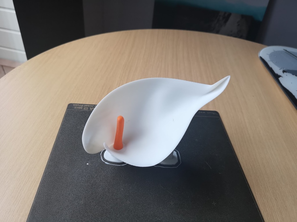 Miniatura 2 do modelo 3D Calla Lily