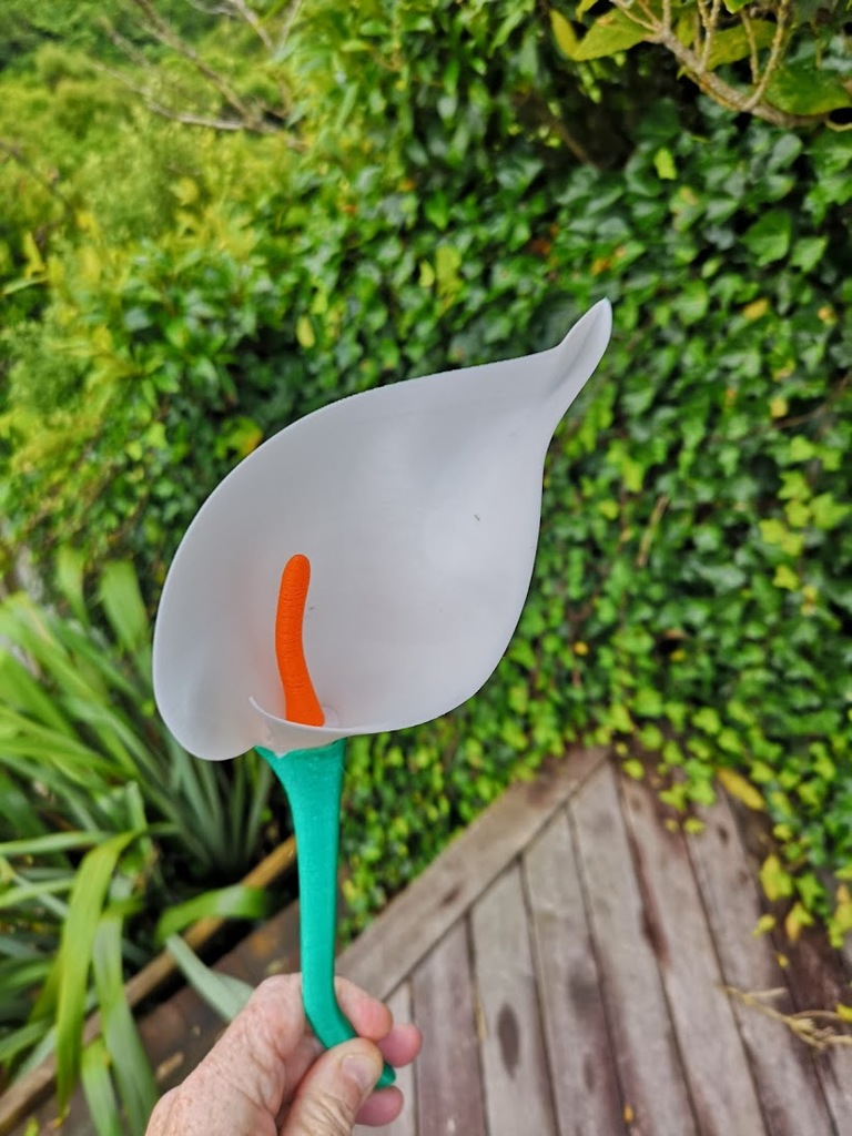 Miniatura 5 do modelo 3D Calla Lily