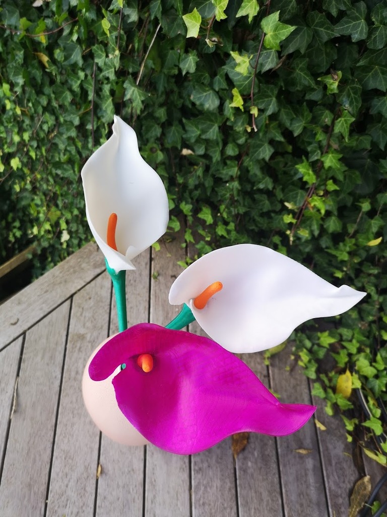 Miniatura 6 do modelo 3D Calla Lily