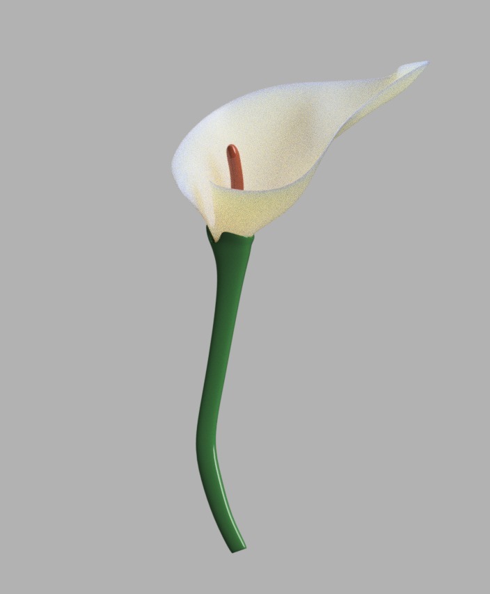 Miniatura 7 do modelo 3D Calla Lily