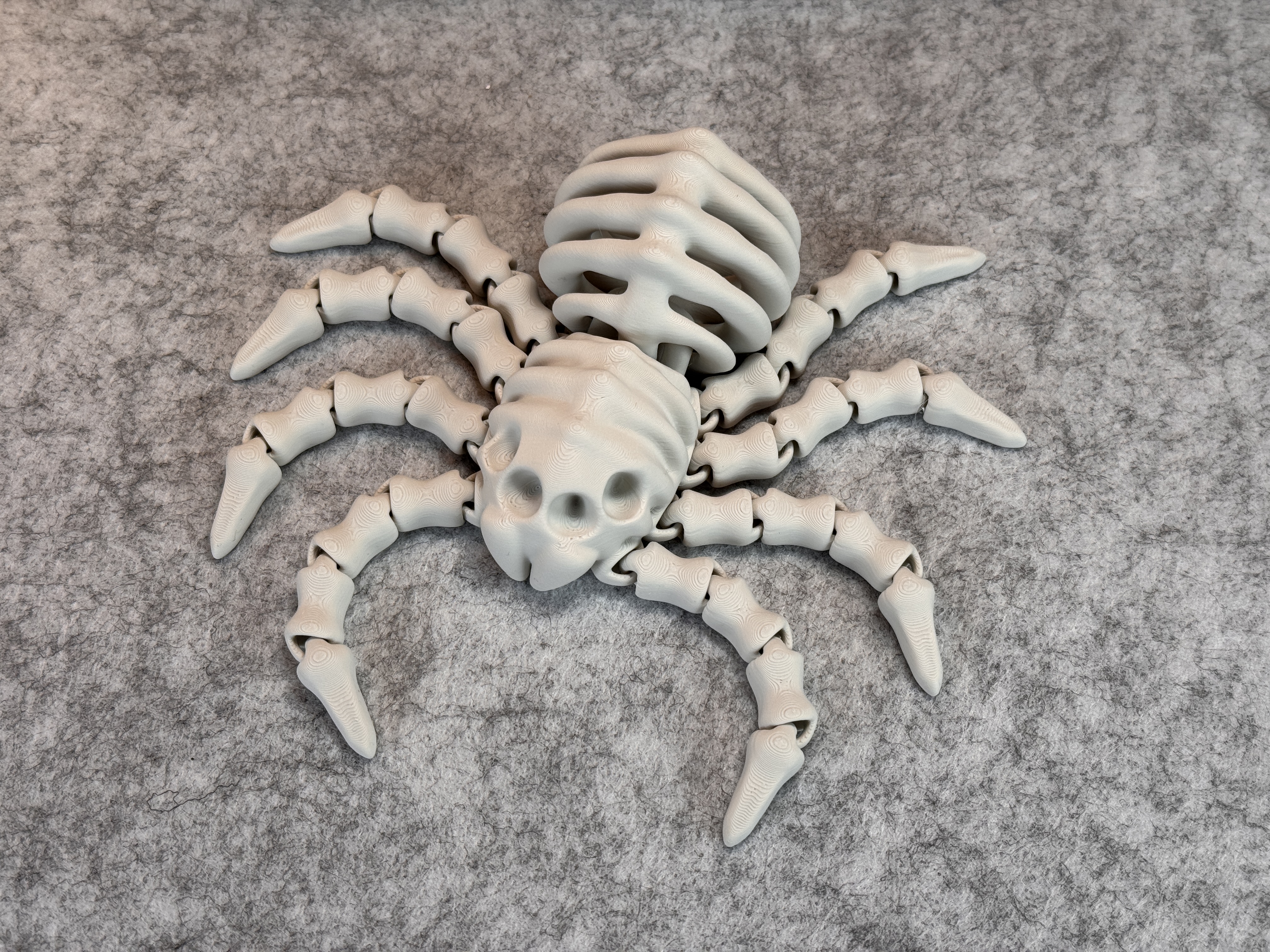 Miniatura 12 do modelo 3D Flexi Skeleton Spider V2