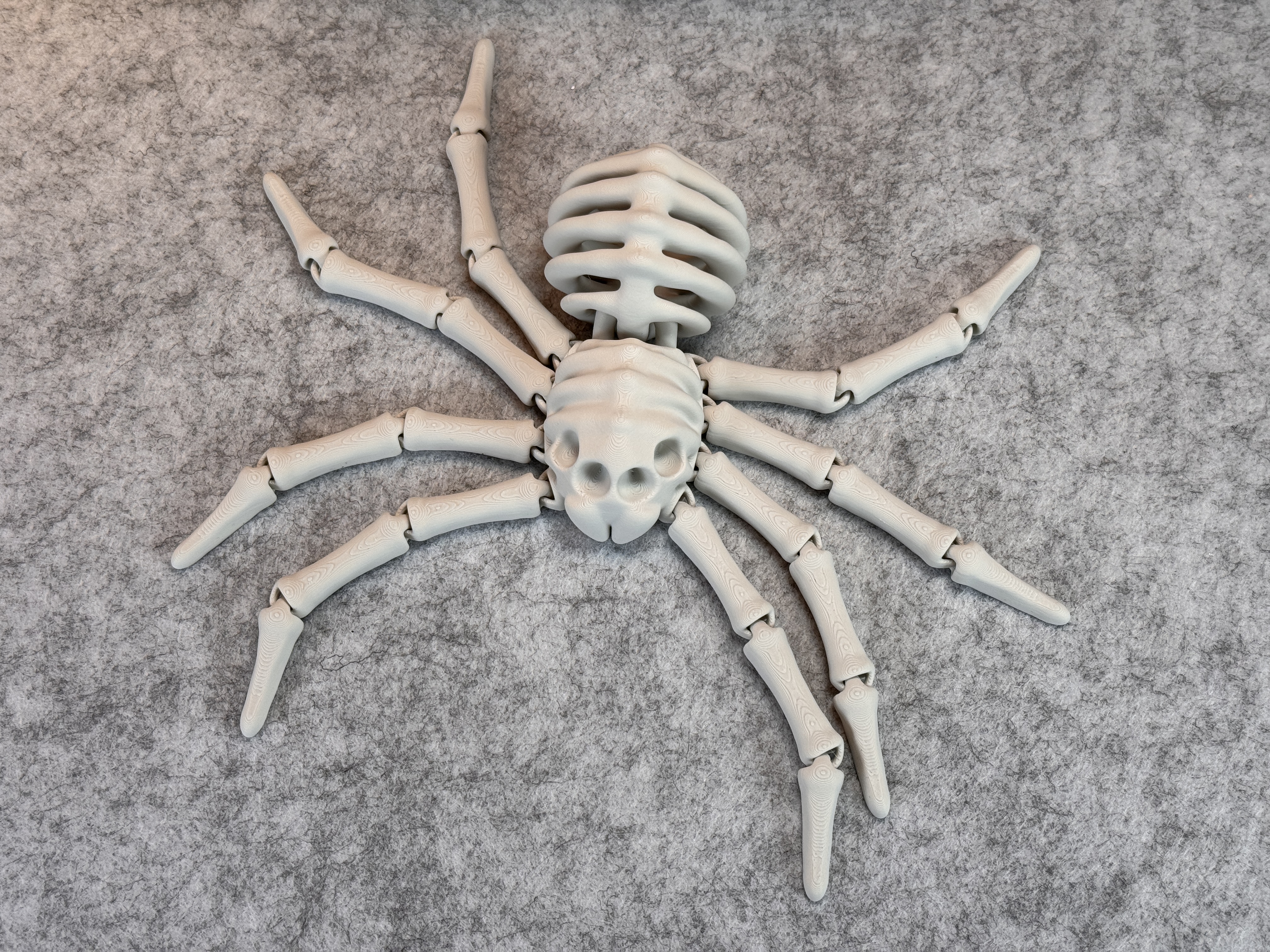Miniatura 14 do modelo 3D Flexi Skeleton Spider V2