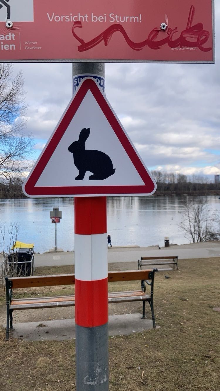 Attention Bunny Sign