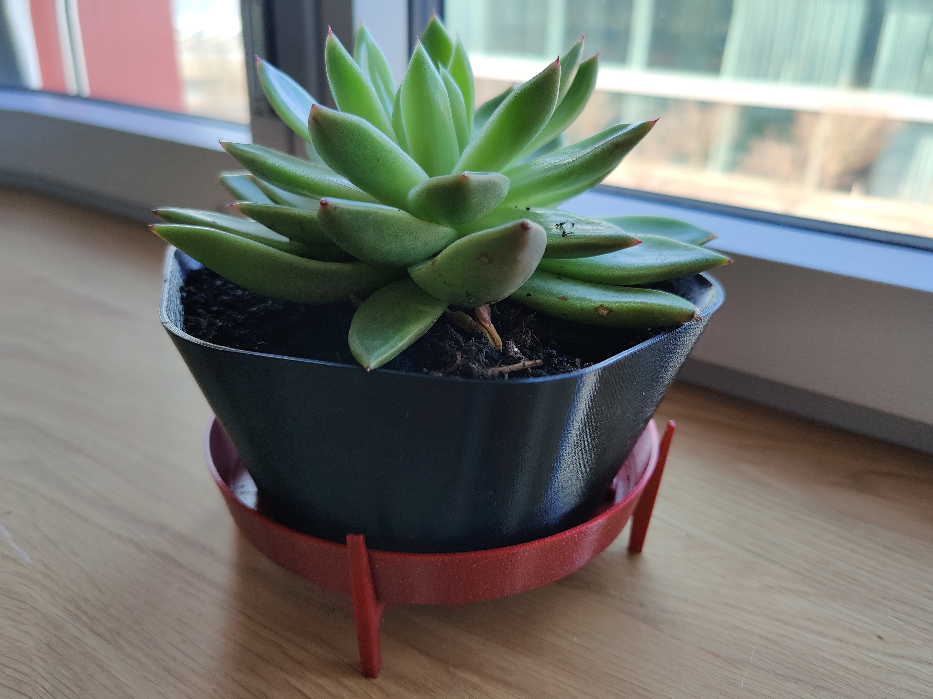 Flower Pot