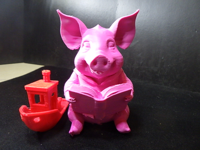 A pig reading a book.