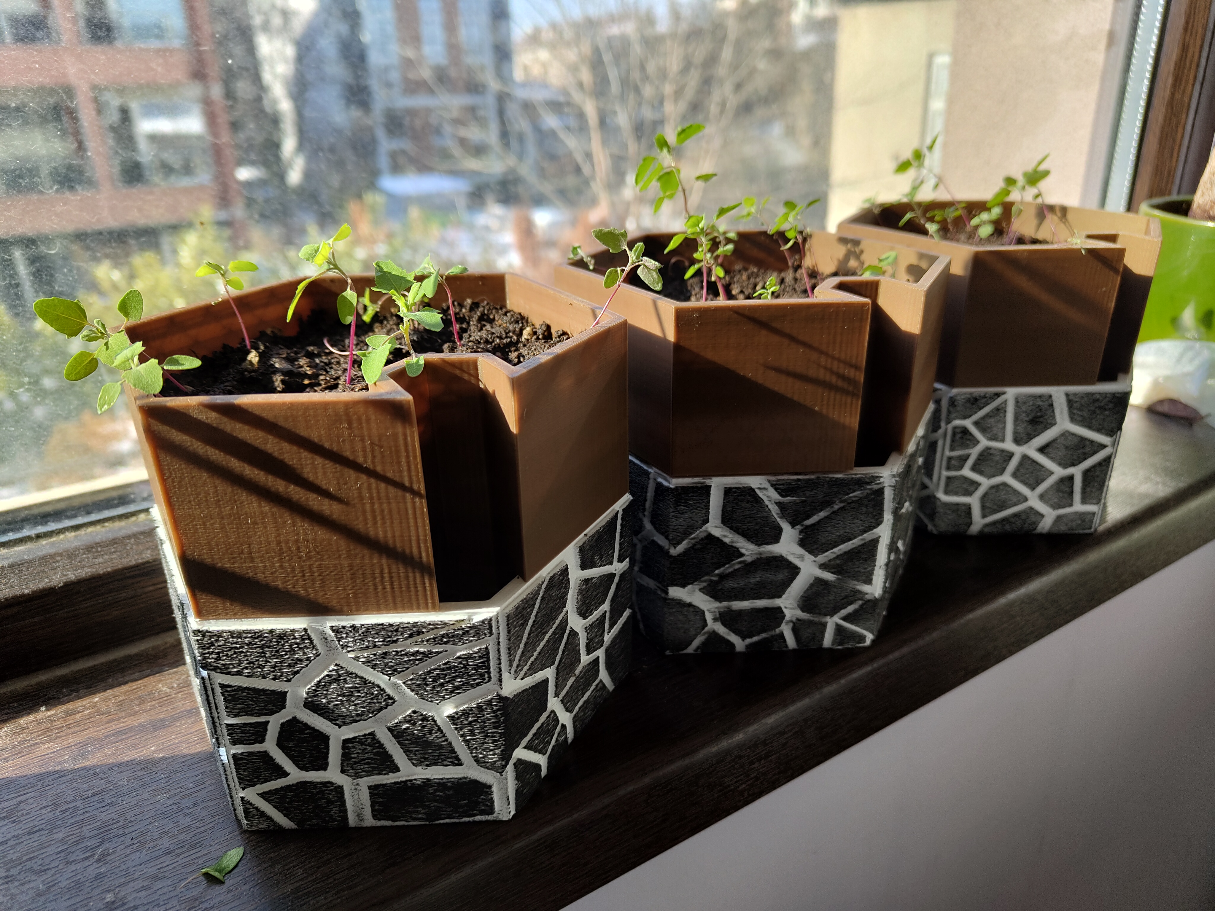 Self Watering Planter with Fuzzy Rocks