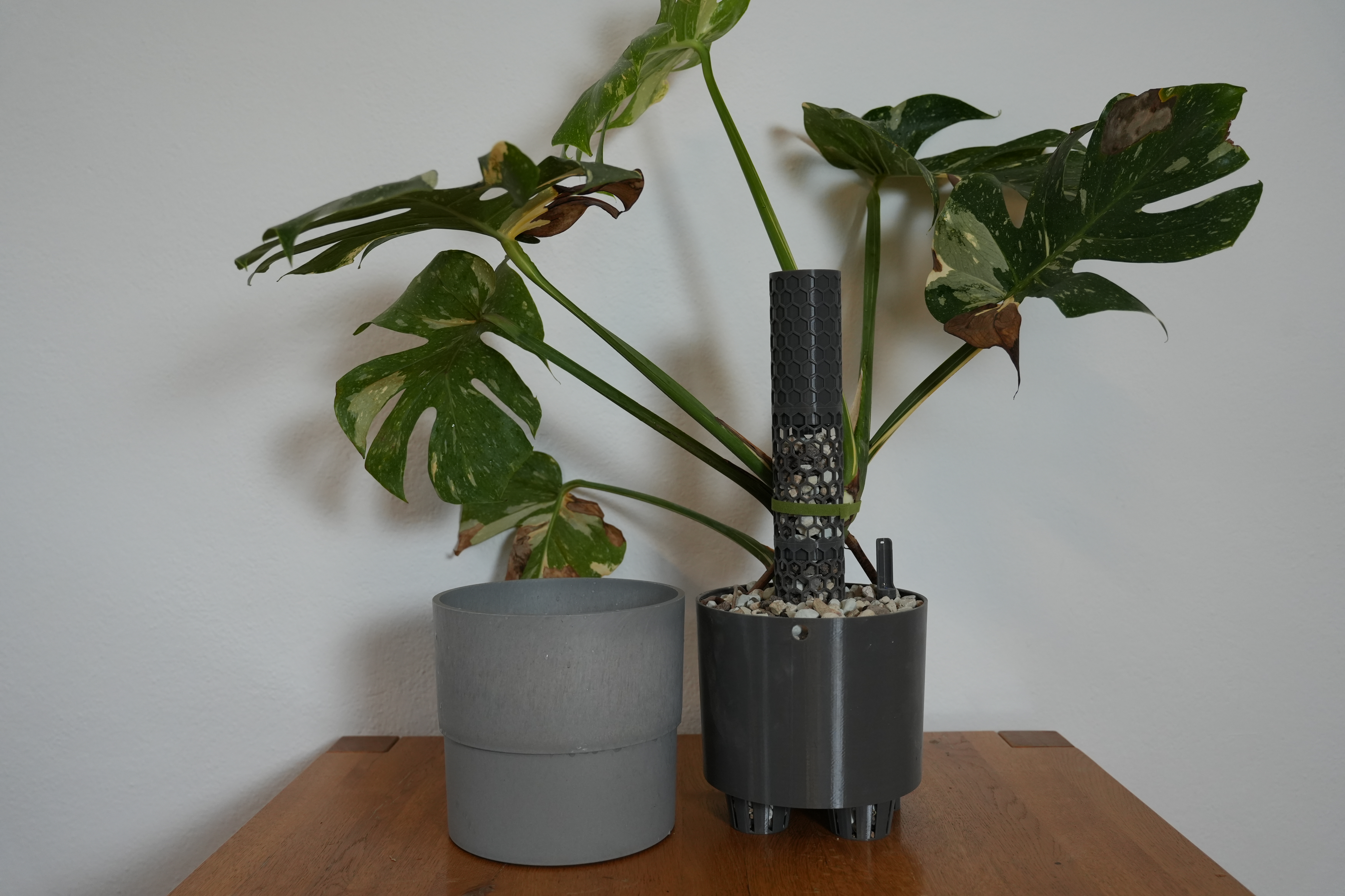 Self watering inlay (pot) for Ikea NYPON 19