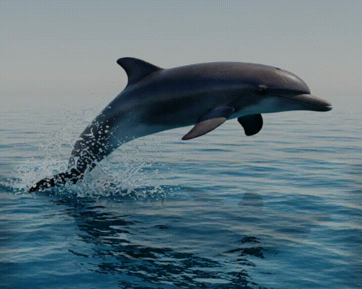 Dolphin — thumbnail 2