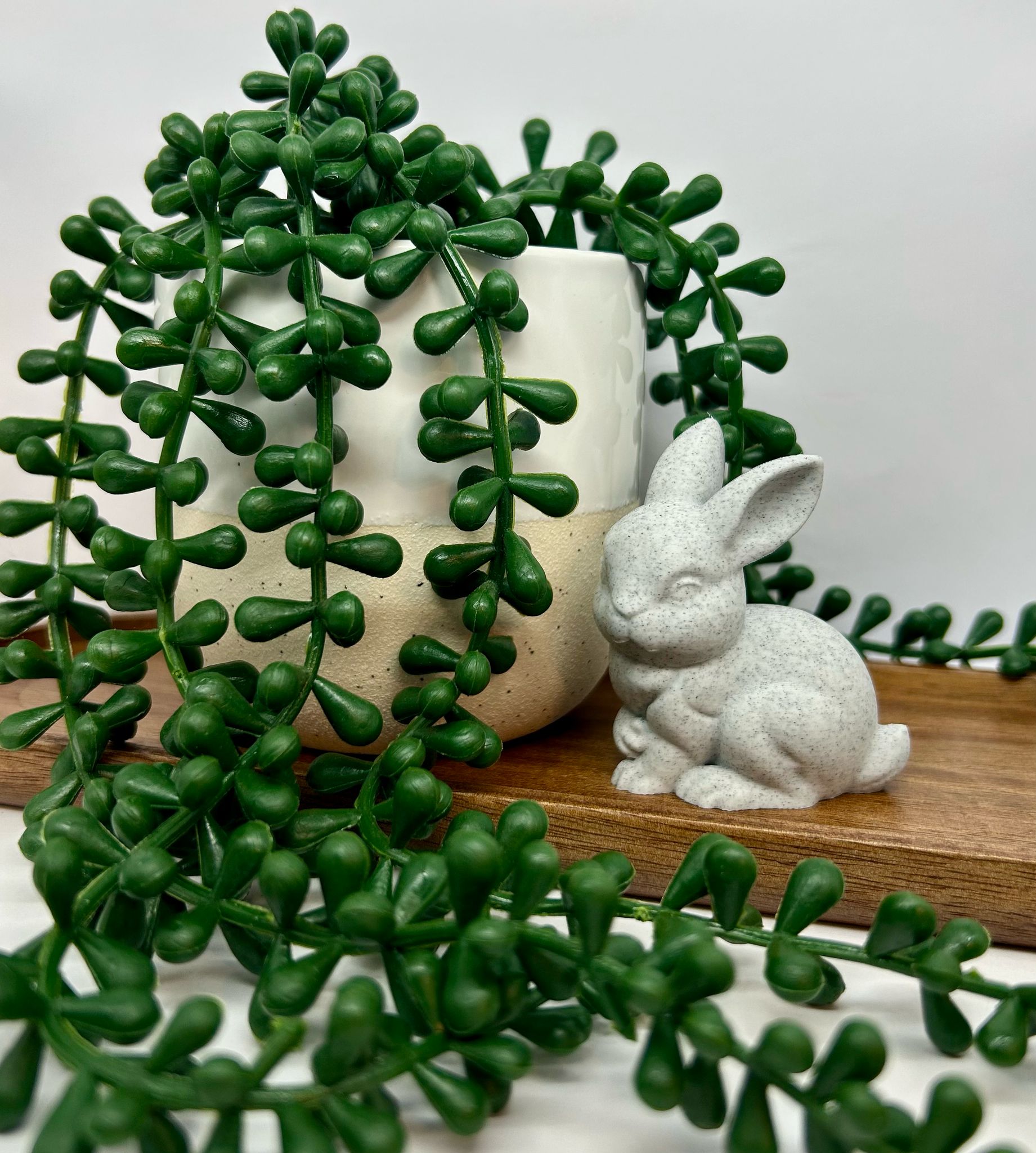 Bunny-bunny — thumbnail 2