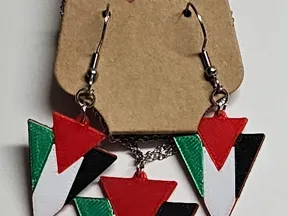 Palestine flag themed jewelry set
