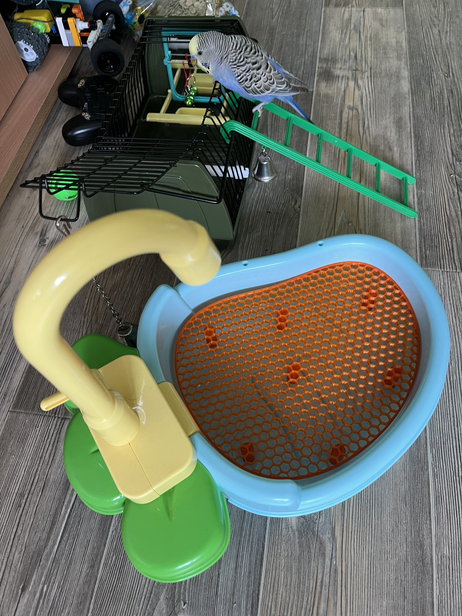 Parrot Perch Shower insert — miniatura 3
