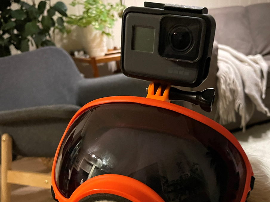 GoPro mount dog googles