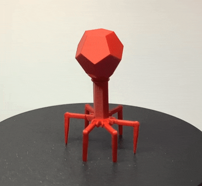 Miniatura 2 do modelo 3D Bacteriophage robot