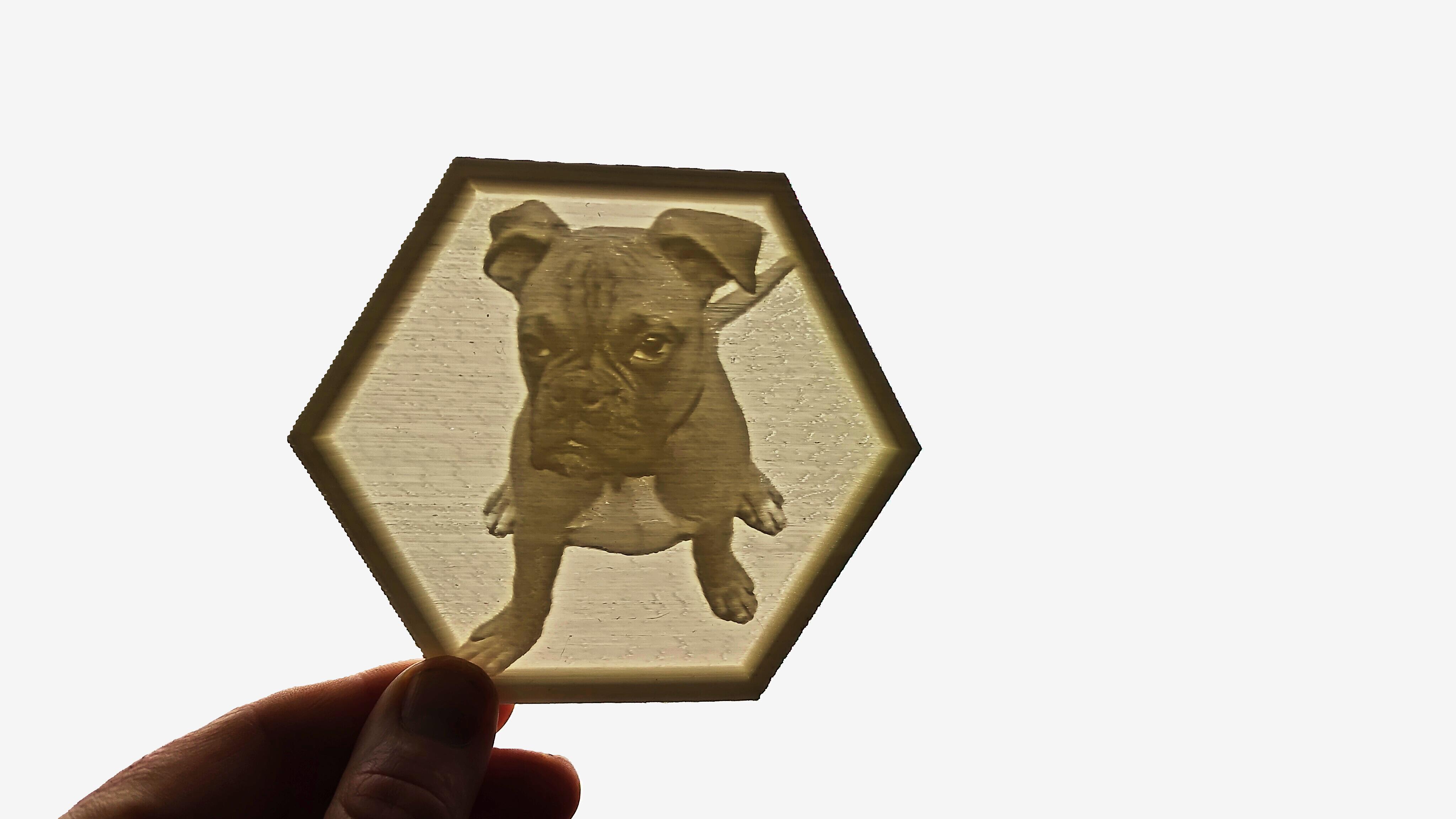 Boxer - lithophane
