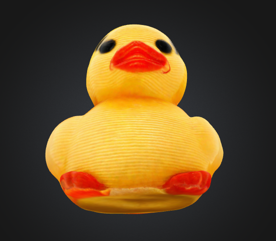 Cute Mini Duck