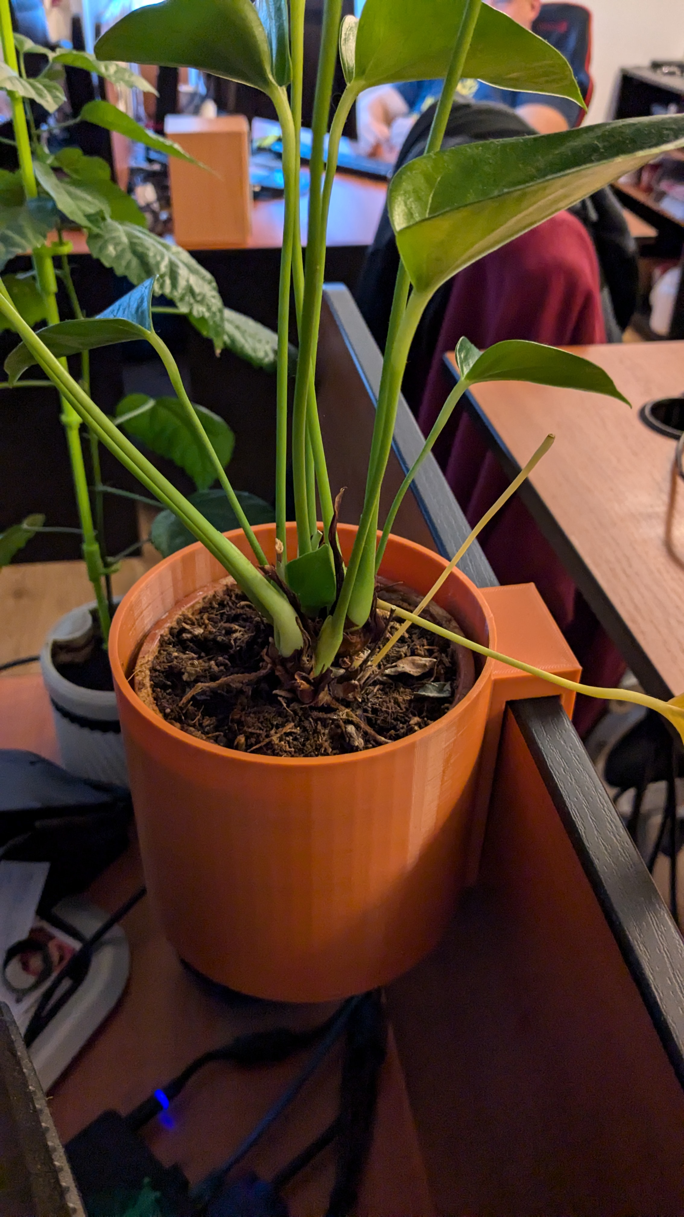 Parametric hanging flowerpot on a board