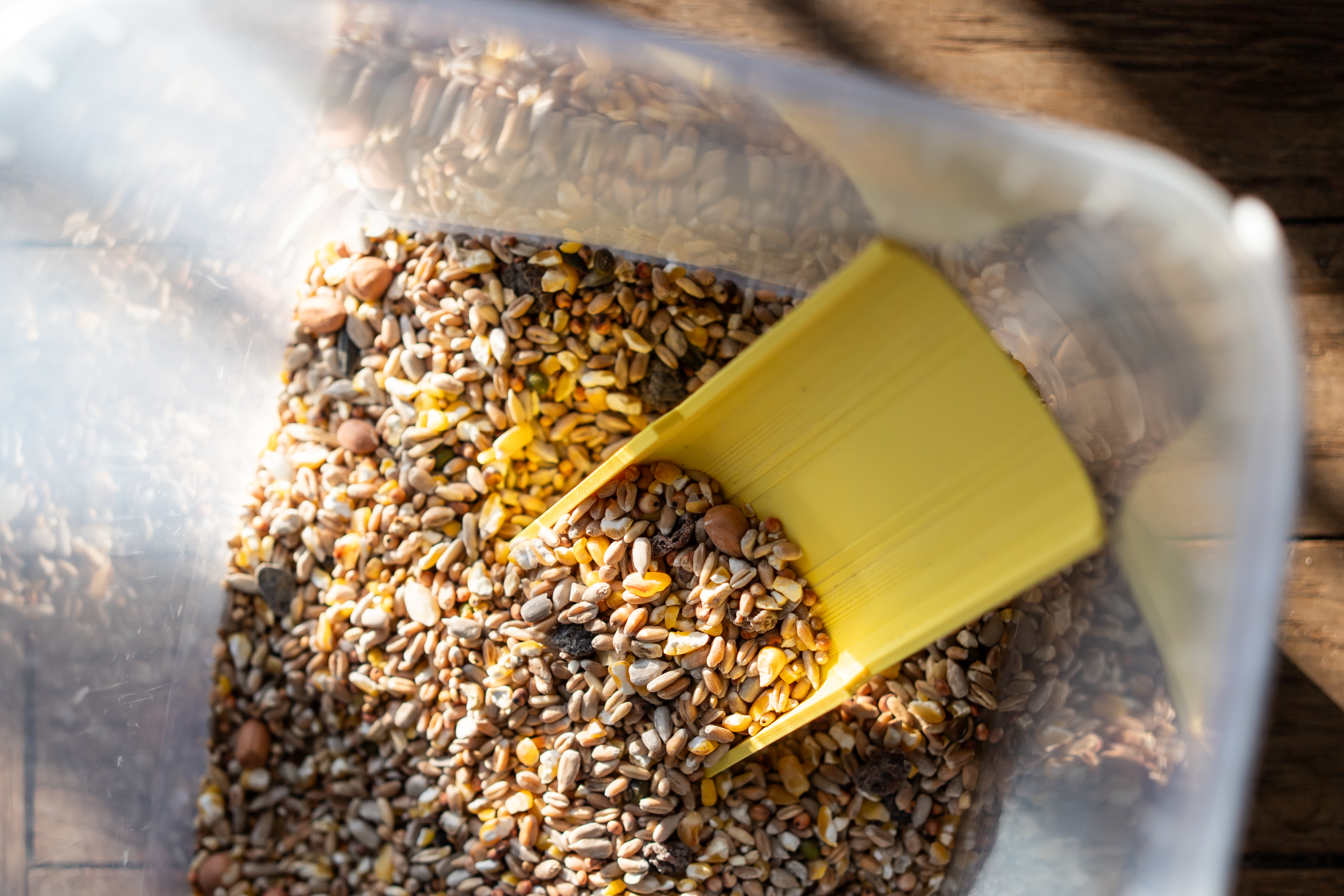 Bird feeder loader