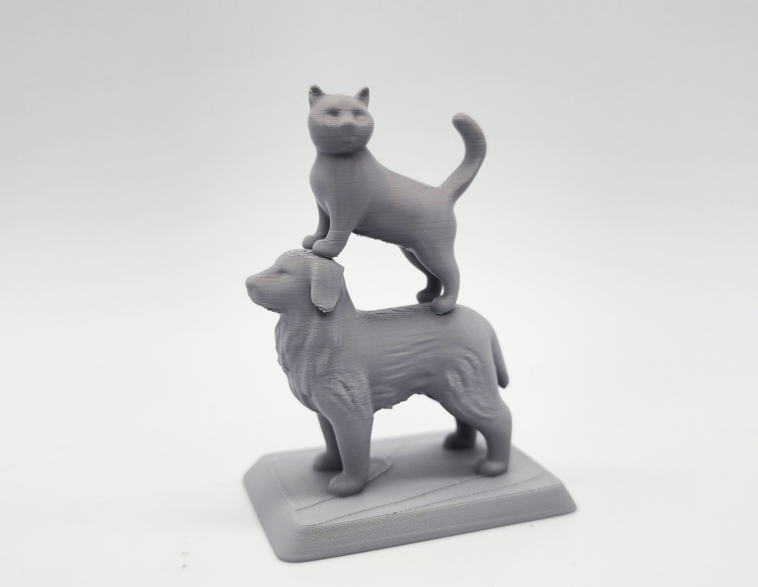 Cat Standing on a Dog Figure
