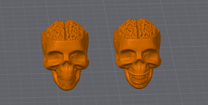 Dummy 13 Skull Head with Exposed Brain resized 200%