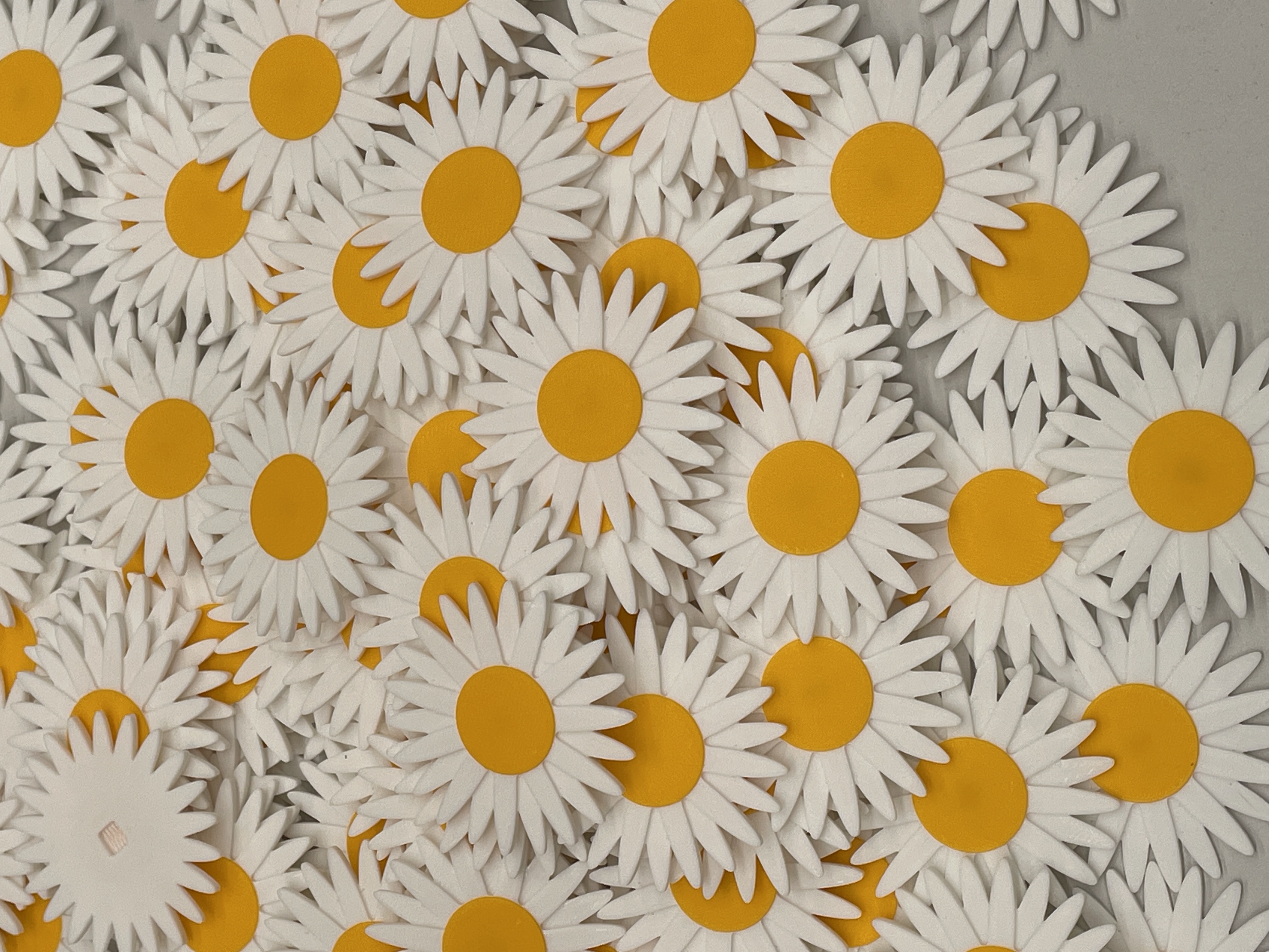 Daisy — miniatura 2